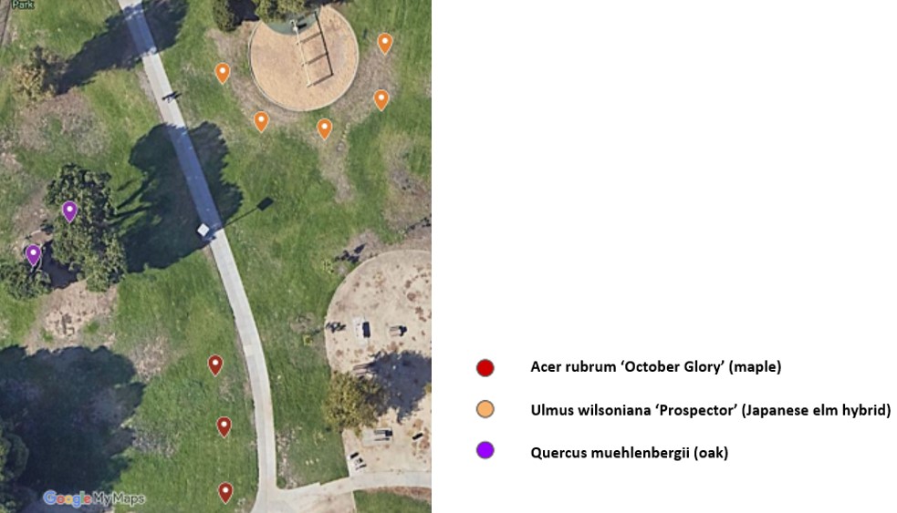 Proposed tree planting locations